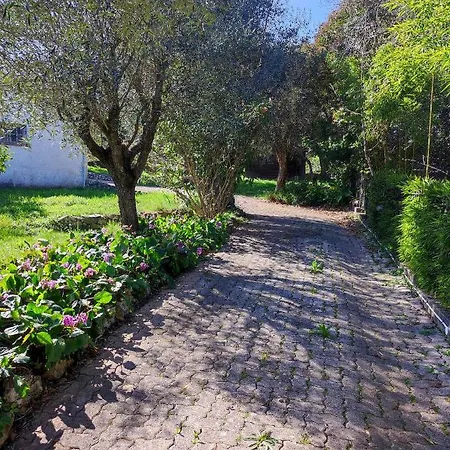 Villa Olivaie St Ange La Gaude